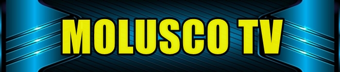 PROGRAMACION EXCLUSIVA